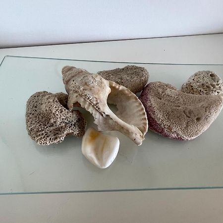 Mar De Fondo En Pedregalejo Daire Málaga Dış mekan fotoğraf